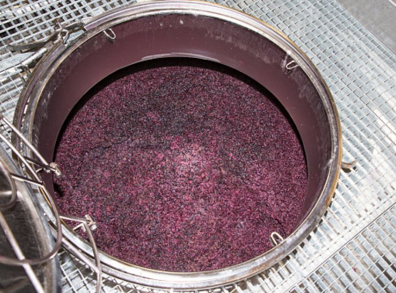 La fermentation malolactique du vin : comment a fonctionne ?